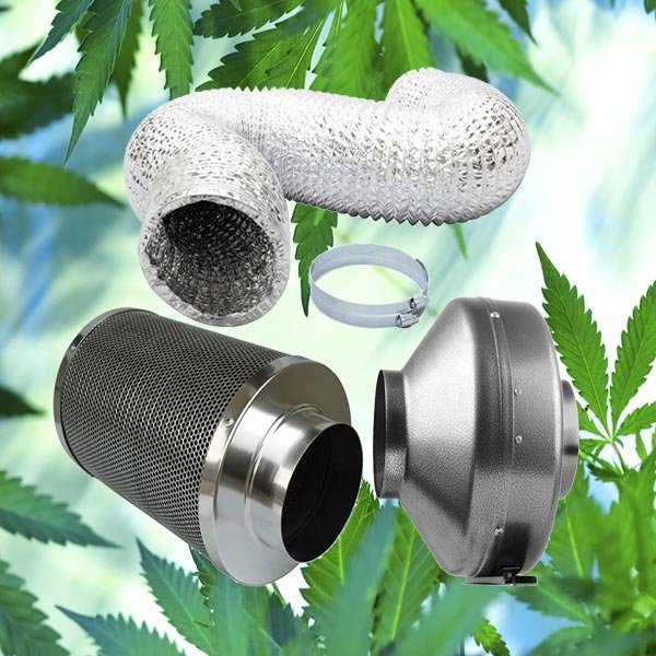 Blog :: Headshop :: Pourquoi fumer du Cannabis CBD avec un filtre au charbon  actif ? - Buracool